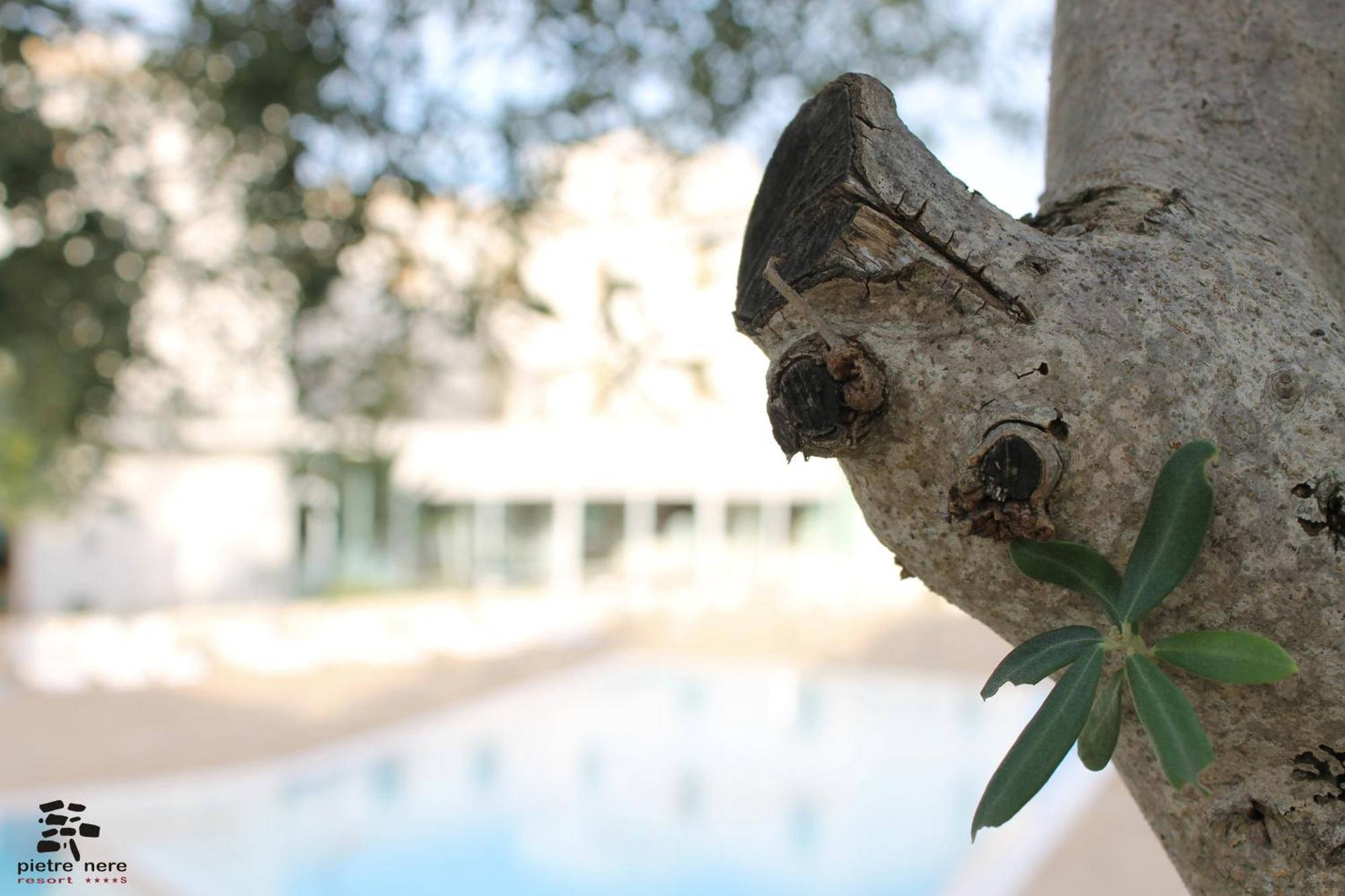Pietre Nere Resort & Spa Modica Esterno foto